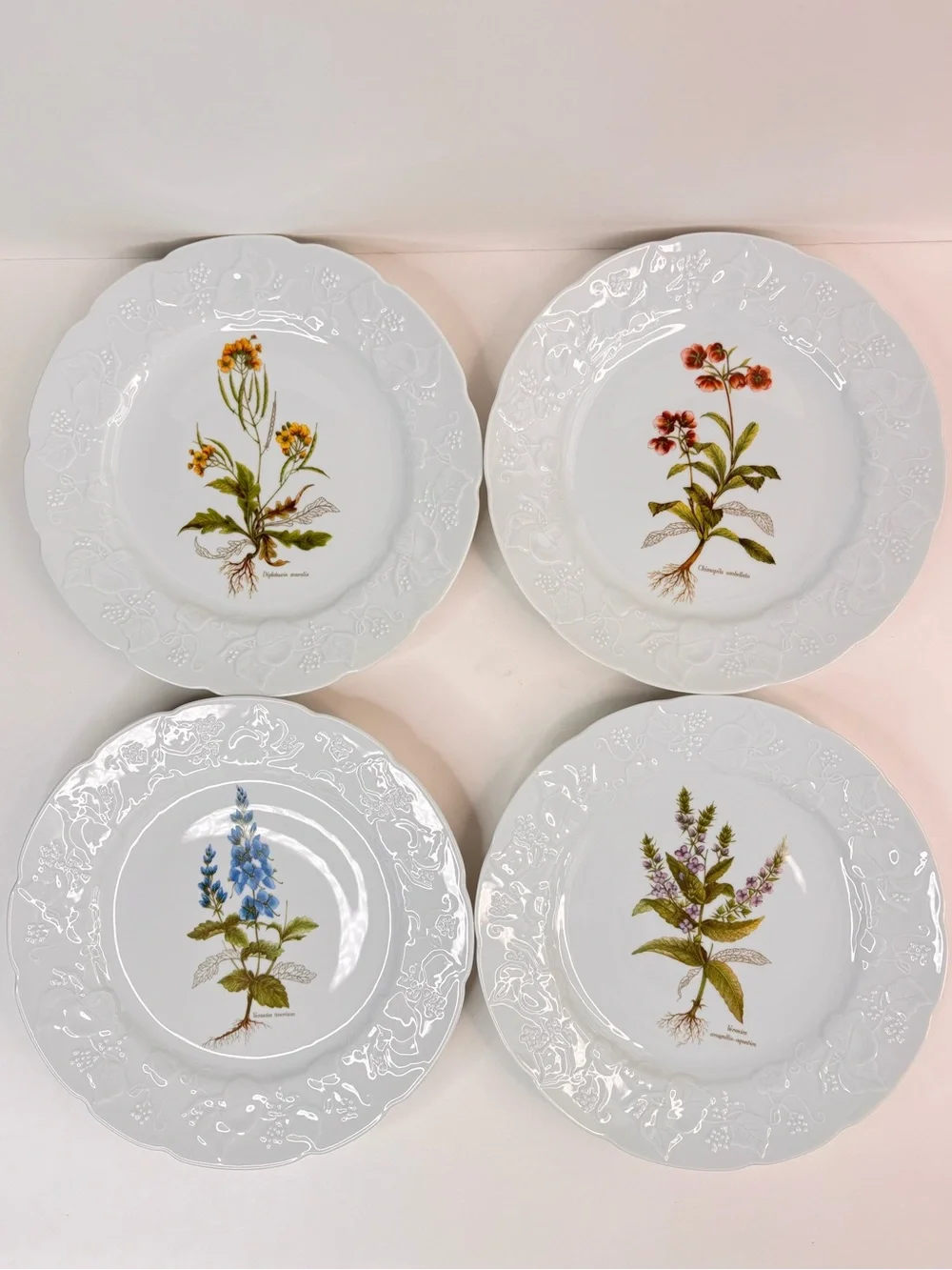 Dansk Ivy Embossed White Porcelain Flower Botanical Luncheon Plates France Set 4